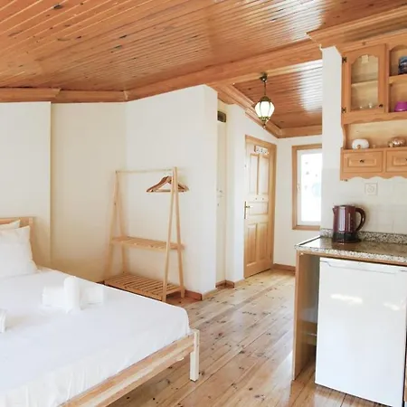 Διαμέρισμα Pleasant Flat Near Vibrant Attractions In Balat, Fatih *